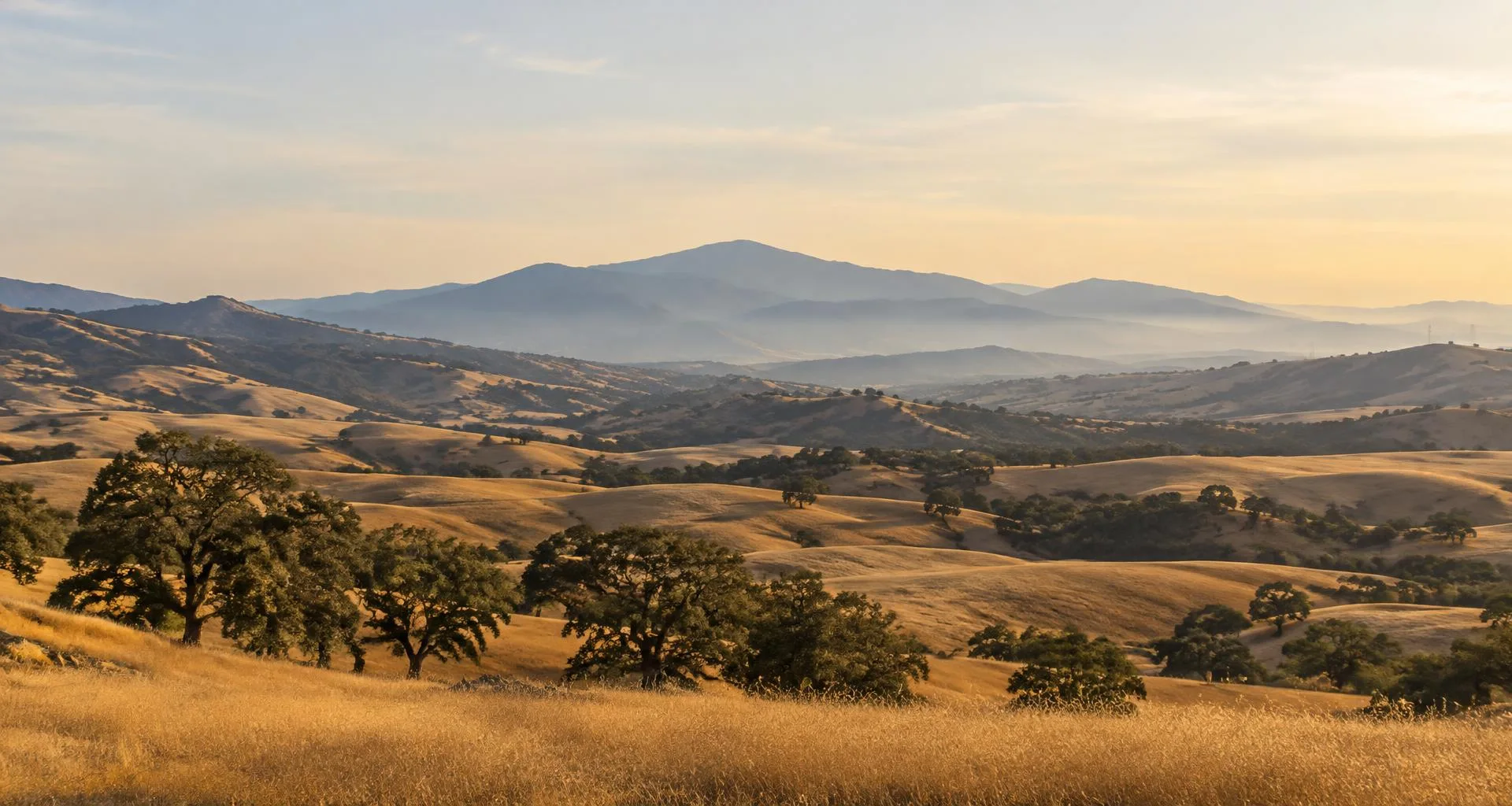 Golden open hills, oak trees, and a distant utility corridor in a California-style landscape